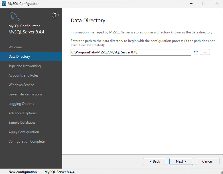 MySQL Server - Windows — Detailed Installation