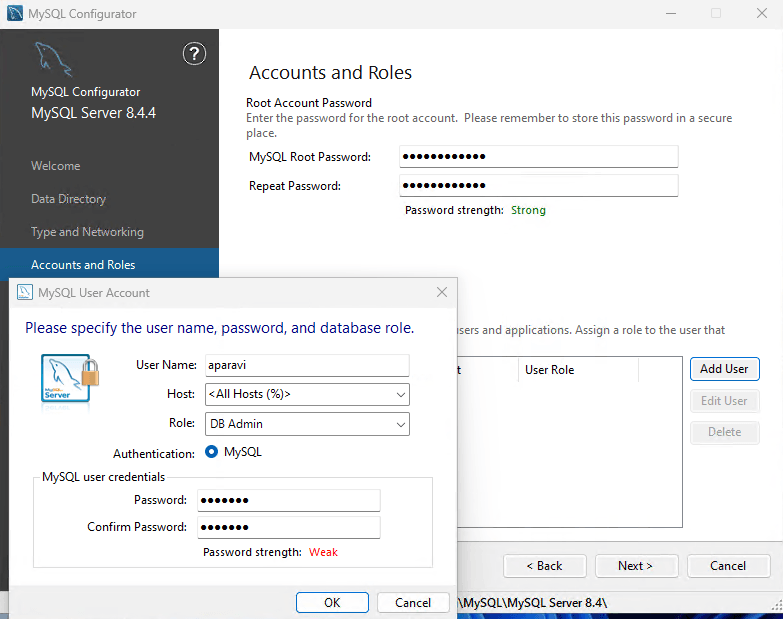 MySQL Server - Windows — Detailed Installation