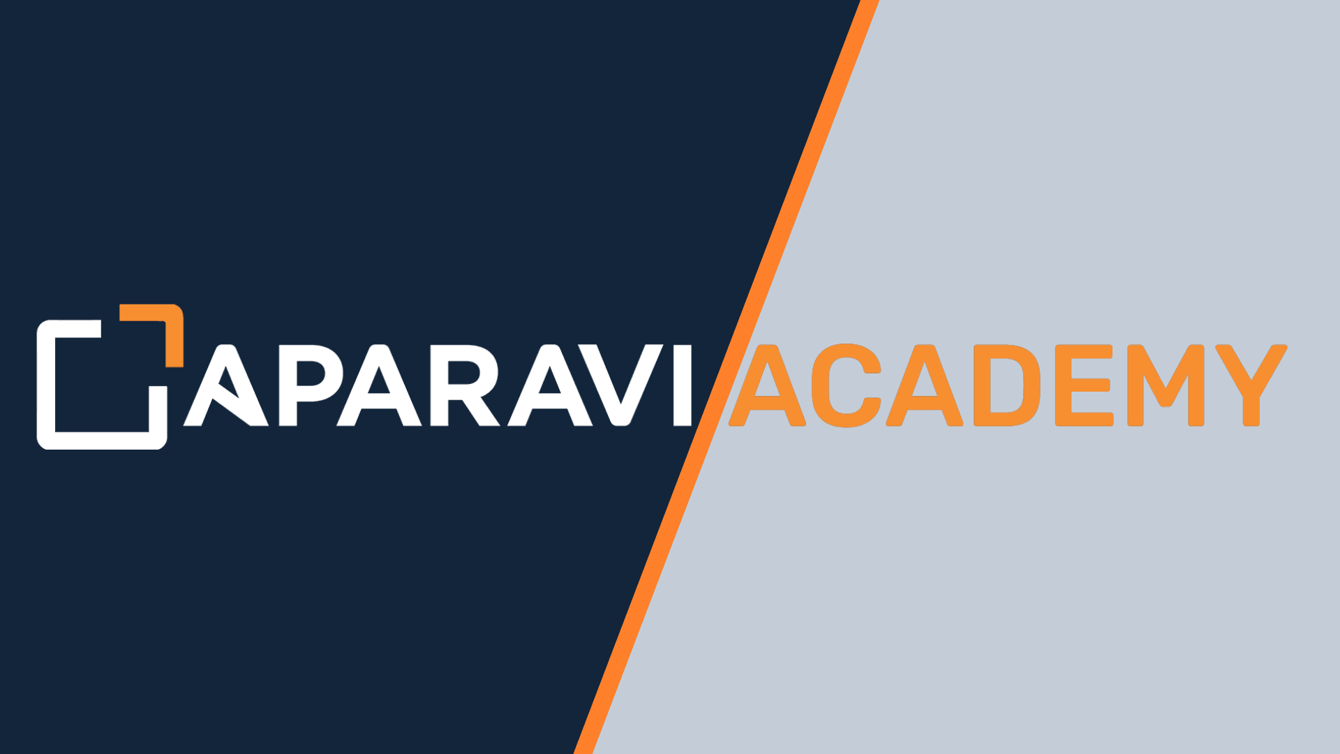 (https://aparavi-academy.eu/en/usage-of-platform/files/file-search-process-1)